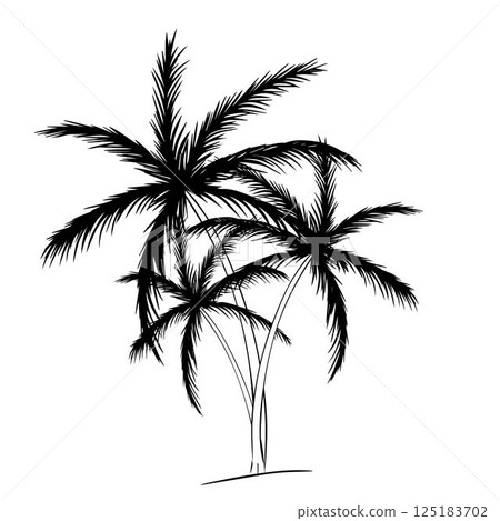 Tree palm tree silhouette composition. Vector graphic line ink illustration. For vacation poster, beach party invitation, backdrop, ad, sale promotion, print for t-shirt Tree palm tree silhouette composition. Vector graphic line ink illustration. For vacation poster, beach party invitation, backdrop, ad, sale promotion, print for t-shirt 125183702