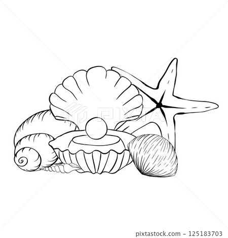 Seashells composition. Vector graphic line ink illustration for postcards, greetings, prints on textiles and other creative products. For logo, web, package, sticker. Seashells composition. Vector graphic line ink illustration for postcards, greetings, prints on textiles and other creative products. For logo, web, package, sticker. 125183703