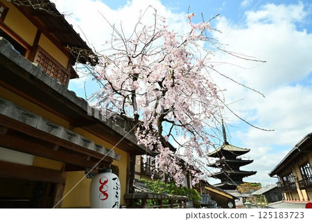 Spring Kyoto @ Yasaka Pagoda 125183723
