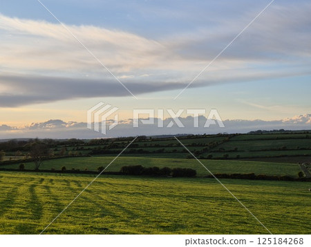 Highland Landscape with Tree and Grass Under the Sunlight Highland Landscape with Tree and Grass Under the Sunlight 125184268