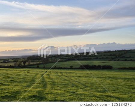 Cloudy Sky Over a Green Grassland with Trees and Sunlight Cloudy Sky Over a Green Grassland with Trees and Sunlight 125184273