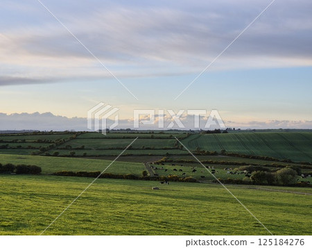Highland Landscape with Trees under a Cloudy Sky 125184276