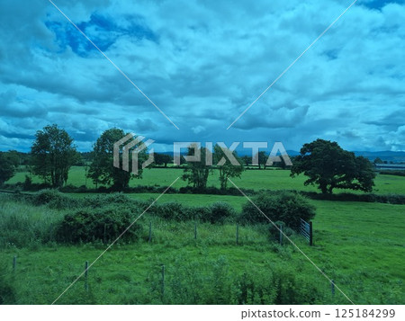 Clear Blue Sky with Cumulus Clouds Over Green Grass and Trees 125184299