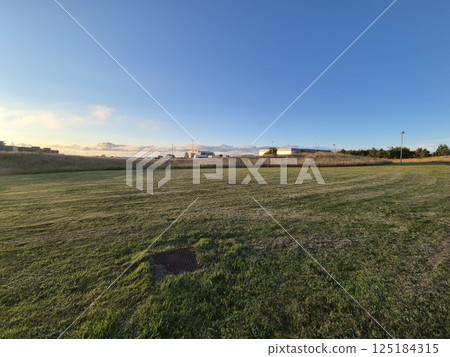 Clear Sky Over Agricultural Plain with Trees and Grass Clear Sky Over Agricultural Plain with Trees and Grass 125184315