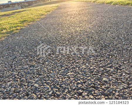 Green Plant by the Road under the Sunlit Sky 125184323