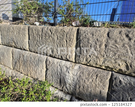 Vegetation Along a Brick Wall and Road Surface 125184327