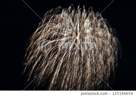Radiating fireworks at the Kochi City Summer Fireworks Festival 125184659