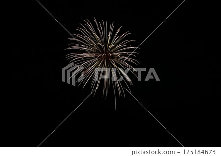 高知市農涼花火大會上呈放射狀展開的煙火 125184673