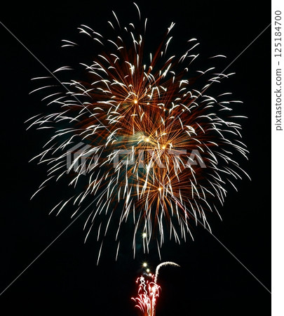 Radiating fireworks at the Kochi City Summer Fireworks Festival 125184700