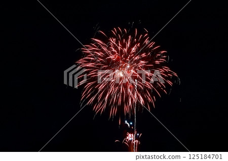 高知市農涼花火大會上呈放射狀展開的煙火 高知市農涼花火大會上呈放射狀展開的煙火 125184701