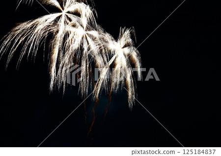 Radiating fireworks at the Kochi City Summer Fireworks Festival 125184837