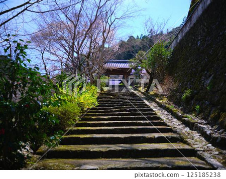 Seogenji Temple 125185238