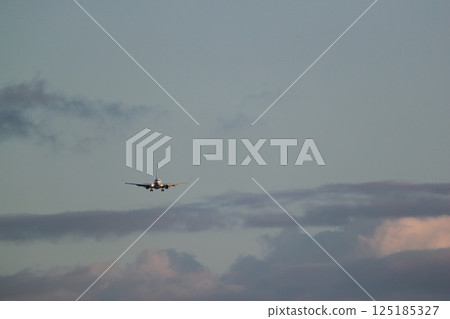Airplane landing Airplane landing 125185327