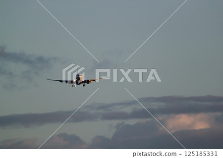 飛機著陸 125185331