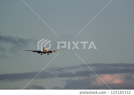 Airplane landing Airplane landing 125185332