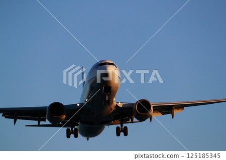 Airplane landing 125185345