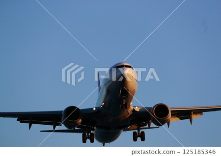 Airplane landing 125185346