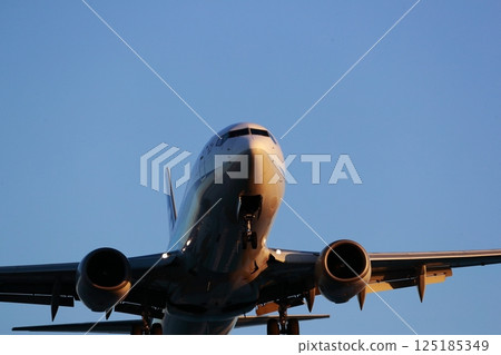 Airplane landing 125185349