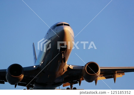 Airplane landing 125185352