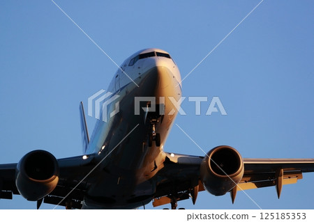 Airplane landing 125185353