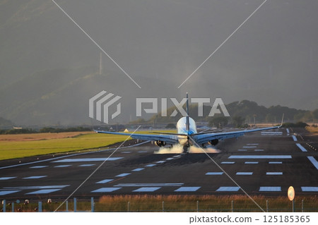Airplane landing 125185365