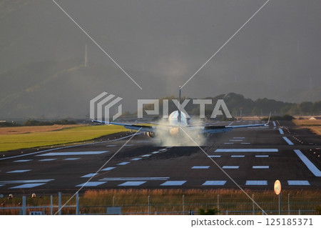 Airplane landing 125185371