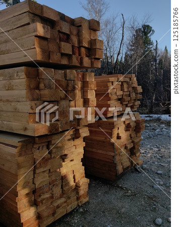 wooden lumber stacked neatly in logging area during clear sunny weather. 125185766