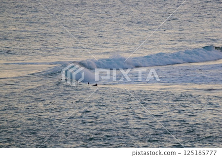 高知衝浪者 高知衝浪者 125185777
