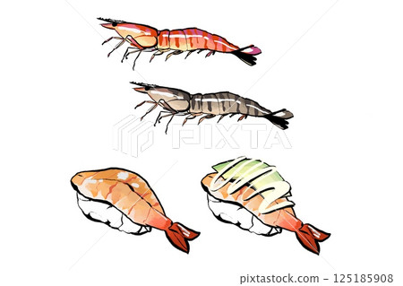 手繪蝦和壽司，蝦鱷梨 125185908