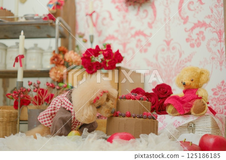 Toy poodle enjoying a room full of roses Toy poodle enjoying a room full of roses 125186185