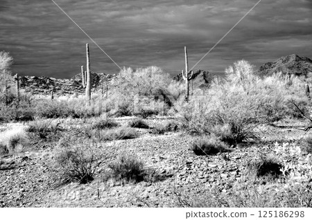 San Tan Mountains Sonora Desert Arizona in Monochrome San Tan Mountains Sonora Desert Arizona in Monochrome 125186298