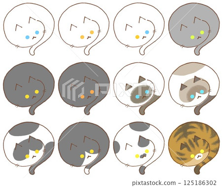 12 types of cats with various patterns 125186302