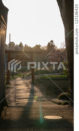 Tagajo Arahagi Shrine 125186420