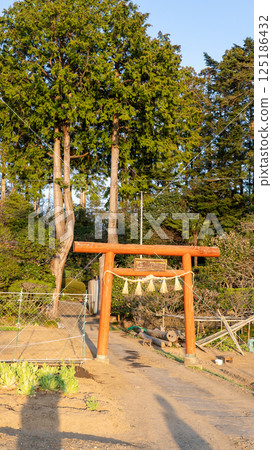Tagajo Arahagi Shrine Tagajo Arahagi Shrine 125186432