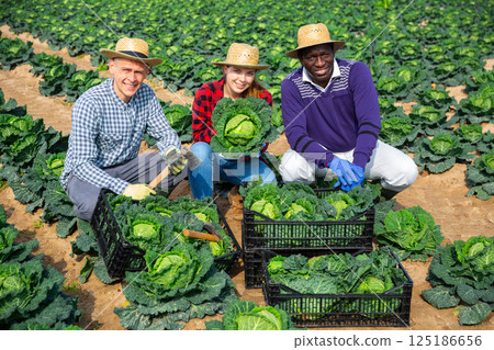 Smiling professional farmers men and woman posing on a plantation 125186656