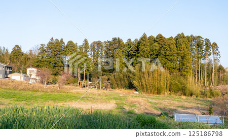Tagajo Arahabaki Shrine Tagajo Arahabaki Shrine 125186798
