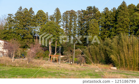 Tagajo Arahabaki Shrine 125186799