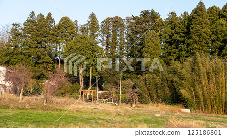 Tagajo Arahabaki Shrine 125186801