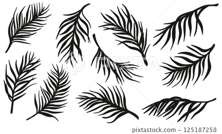 Palm leaves in silhouette set 125187258