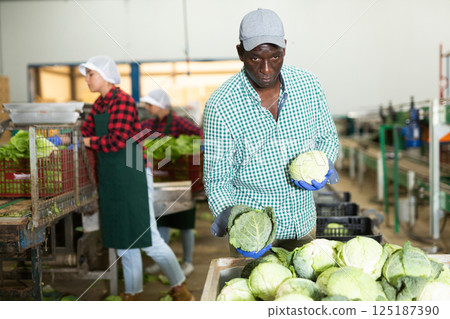 African american man inspects cabbage for freshness 125187390