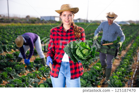 Young female farmer harvesting fresh savoy cabbage 125187470