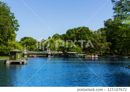 Boston Common public garden lake in Massachusetts 125187672