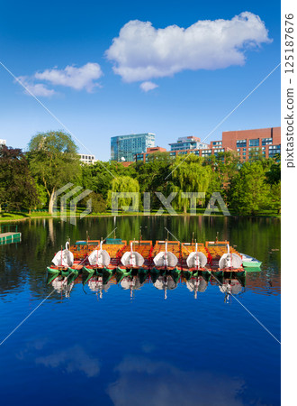 Boston Common public garden Swan boats Boston Common public garden Swan boats 125187676