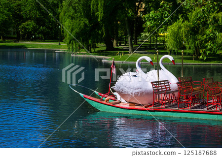 Boston Common public garden Swan boats Boston Common public garden Swan boats 125187688