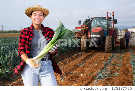 Hired worker woman harvests leek and puts it in boxes on field 125187730