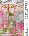 A toy poodle enjoying the flowers in the greenhouse 125187764