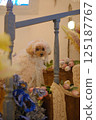 Mimosa, Tulip and Toy Poodle 125187767