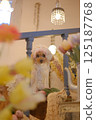 Mimosa, Tulip and Toy Poodle 125187768