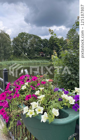 beautiful deep lake surrounded by green grass and bushes in summer in europe, grasses and red flowers red and pink peony bush roses envelop the entire vast shore 125187807