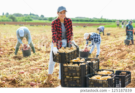 Positive young woman harvesting potatoes on field Positive young woman harvesting potatoes on field 125187839
